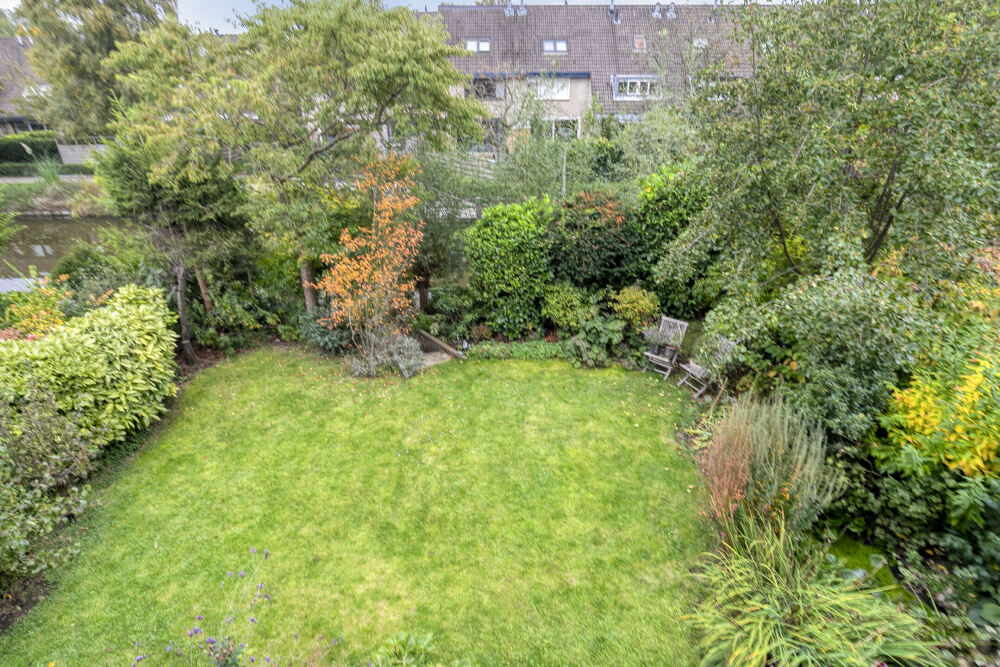 Foto 25 1000w