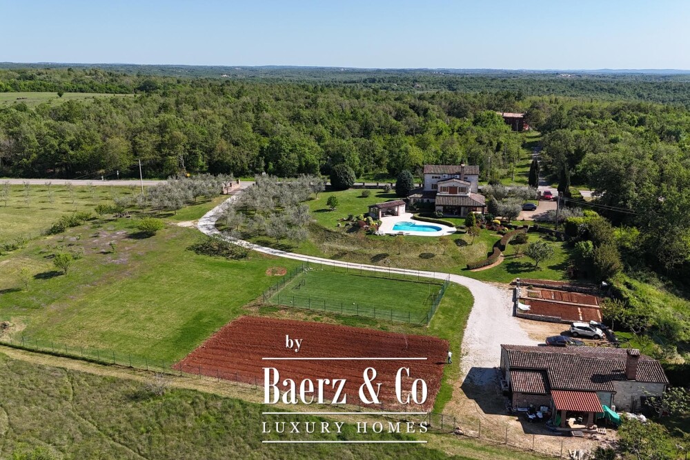 Foto 6 1000w