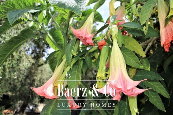 photo 16 Villa for sale 350 m²