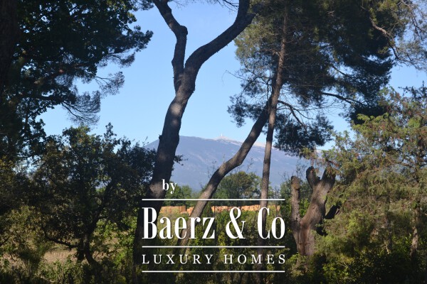 photo 26 Historic manor house overlooking Mont Ventoux