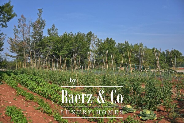 photo 25 Istria, Kanfanar, Stone villa with swimming pool and sports fields