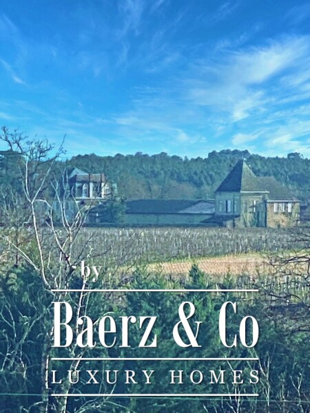 photo 3 WINE CHATEAU, BORDEAUX, SAUTERNES, UNIQUE PANORAMIC VIEW