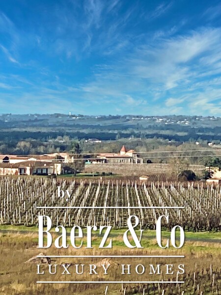 photo 36 WINE CHATEAU, BORDEAUX, SAUTERNES, UNIQUE PANORAMIC VIEW