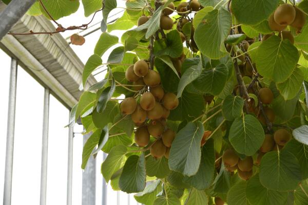 photo 45 Lange Meentweg 4