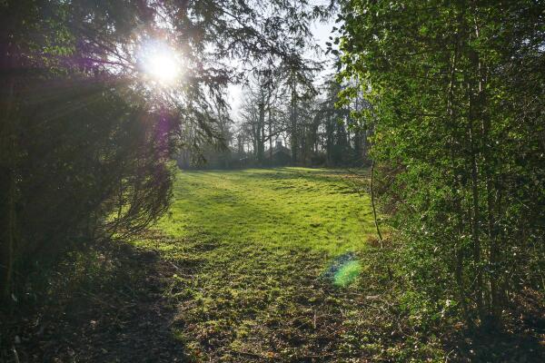 photo 14 Bastinglaan 20 0 ong