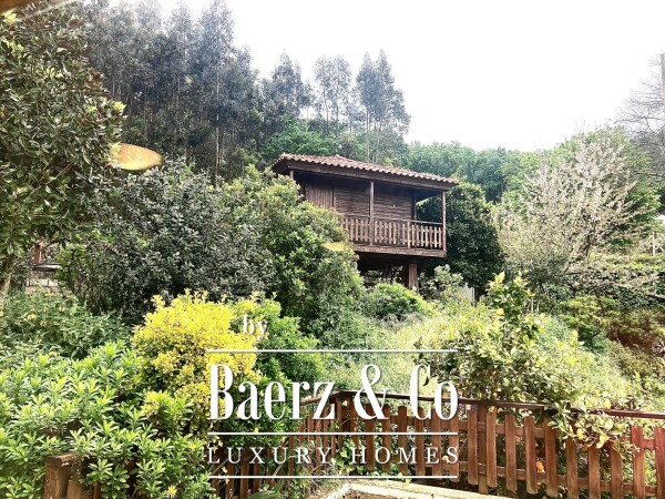 photo 3 Wonderful farm near the Vouga River