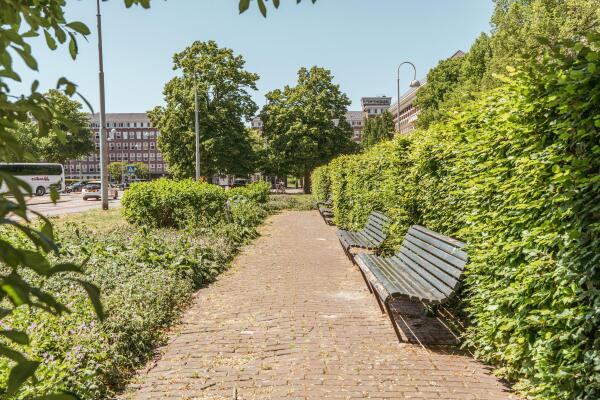 photo 40 Minervalaan 76 3