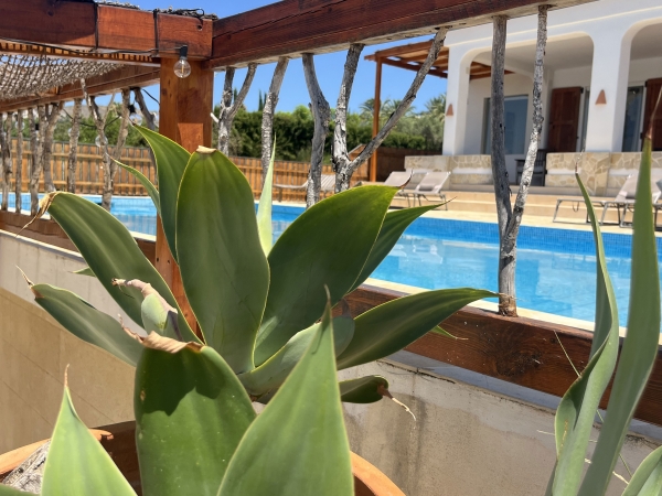 photo 13 Finca MontAzul - Javea, Costa Blanca