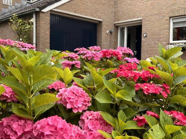 photo 8 Lijsterlaan 2 b