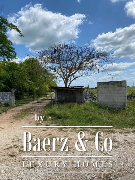 photo 3 Street 24 x 29 