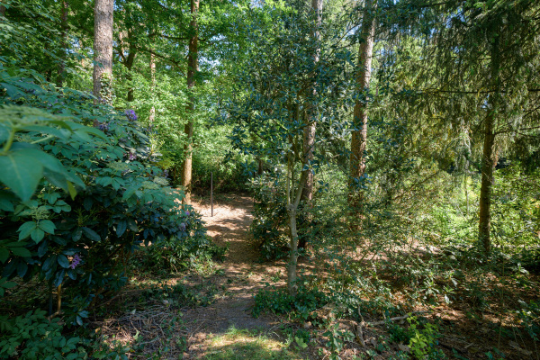 photo 60 Oude Bredasebaan 17