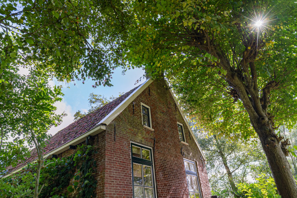 photo 10 Soarremoarre 1