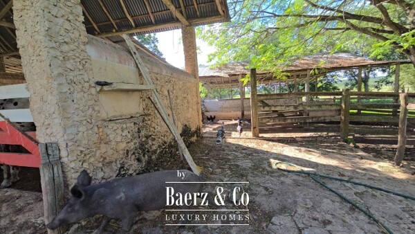 photo 32 Tablaje 3710 Rancho San Roman y Tablaje 1939 Rancho San Jose 