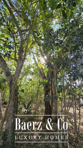 photo 24 Sagrado - Valladolid 