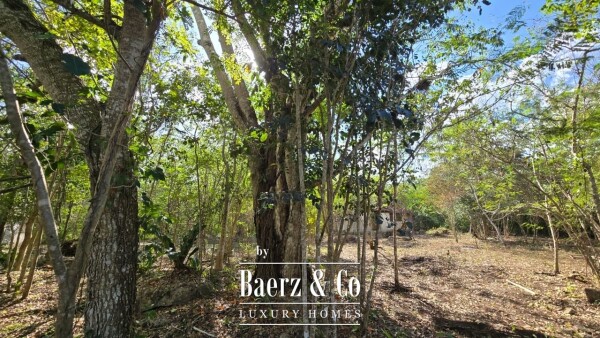 photo 25 Sagrado - Valladolid 