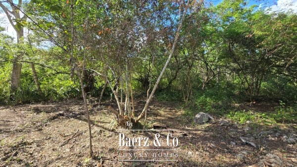 photo 29 Sagrado - Valladolid 