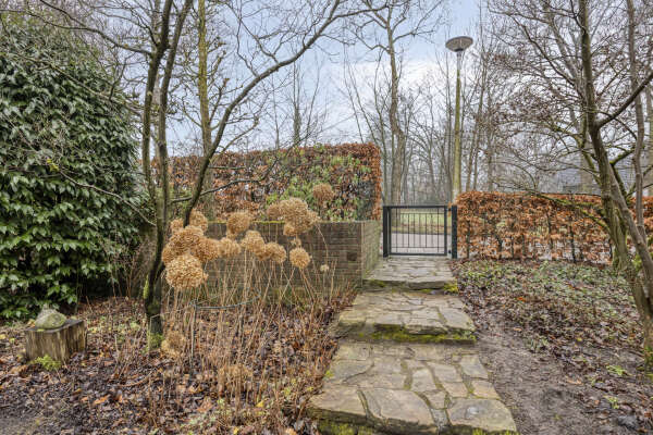 photo 56 Hoge Haerlaan 29