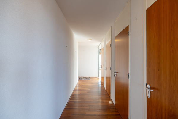 photo 44 Praediniussingel 20 24