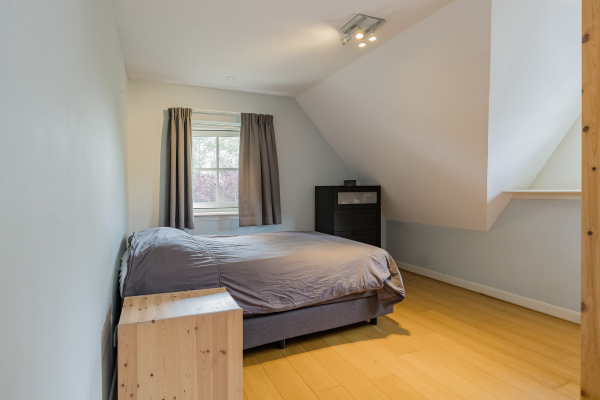 photo 41 Zeester 97