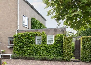 BLEISWIJK